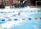 Соревнования по плаванию в Aloe Spa 17.02.2019